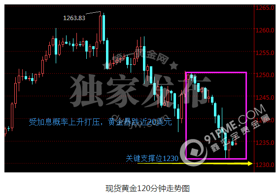 美聯儲加息概率飆漲 黃金暴跌近20美元.png