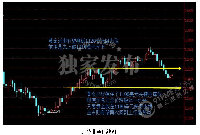 央行超級周VS歐洲政治 黃金鹿死誰手